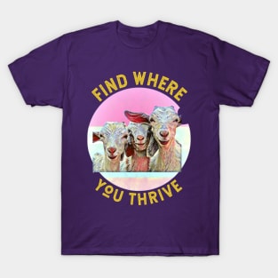 Find Where You Thrive (3 goats smiling) T-Shirt